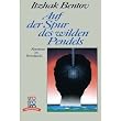 Auf der Spur des wilden Pendels. Abenteuer im Bewu�tsein. ( rororo transformation).