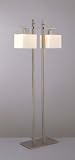 Torii Matte Brushed Nickel Floor Lamp