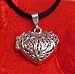 Aromatherapy Heart Locket Necklace