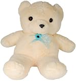 Teddy Bear Hidden DVR Camera