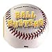 Ball Busters Book - Baseball