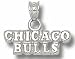 Chicago Bulls 1/4