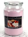 Beanpod Candle Strawberry Cream 25 oz
