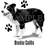 Border Collie Adult T-Shirt