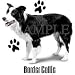 Border Collie Adult Sweatshirt