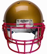 Cardinal Eyeglass Protection (EGOPII) from Schutt