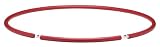 Gaiam Dance Hoop Kit