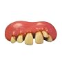 Big Cletus Teeth - Billy Bob(R)