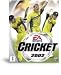 Cricket 2002 Game for PC