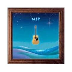 NSP�����R���T�[�g!! [DVD]