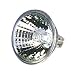 Apollo 300 Watt Slide Projector Lamp, 120 Volt Output (VA-ELH-6)
