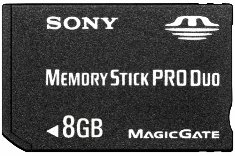 Childrens Toyshop  Electronics : Sandisk - Memory Stick Duo Pro 8 GB memory card