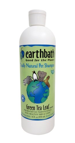 Earthbath Green Tea Leaf Shampoo for Pets, 16-Ounce