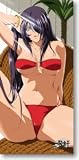 一騎当千GG ジャンボタオル A 関羽雲長