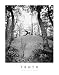 Truth -Motivational Yoga Poster- 8''x10''