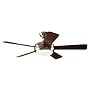 Hunter 21627 Palermo 52-Inch 5-Blade Ceiling Fan, Brushed Nickel with Maple and Cherry Blades