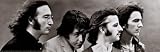 The Beatles Collections Poster Print, 36x12