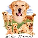 Golden Retriever Adult Sweatshirt