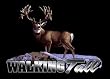 Walking Tall Upstream Images Color Vinyl Wildlife Car Truck Window Decal Sticker Walking Tall Upstream Images Color Vinyl Wildlife Car Truck Window Decal Sticker