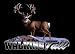 Walking Tall Upstream Images Color Vinyl Wildlife Car Truck Window Decal Sticker