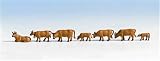 COWS-BROWN (7)