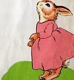 The Country Bunny and the Little Gold Shoes. as Told to Jennifer