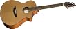 Breedlove Passport C250/CM Guitar