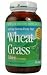 Wheat Grass