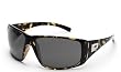 Smith WITNESS Sunglasses NEW