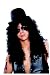 Curly Rocker Wig (Black) Rock Band Deluxe Adult Halloween Costume Accessory (DF34B)