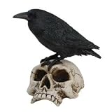 Raven on Skull Collectible Bird Crow Skeleton Figurine Statue Model