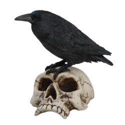 Raven on Skull Collectible Bird Crow Skeleton Figurine Statue Model