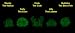 Glow In The Dark SEA MANIA 2 Set of 5 Rare Mystery Squishies