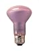 Bulbrite 711150 - 50R20SP/N - 50 Watt R20 Full Spectrum Spot Light Bulb