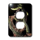 Snakes - Boomslang Snake - Light Switch Covers - 2 plug outlet cover