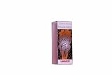 Liberator Staccato Glass Dildo