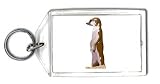 Keychain with social image