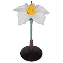 3B Scientific T21014 2 Part Potato Flower (Solanum Tuberosum), 15" Height