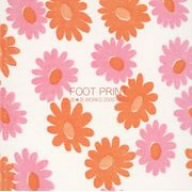 FOOT PRINT~花*花WORKS 2000-2003