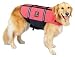 X-Small Kyjen Outward Hound Pet Saver Life Jacket