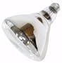 Sylvania 14665 250BR40 120V