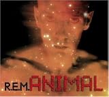 R.E.M. - Animal/Pretty Persuasion/Welcome to the Occupation