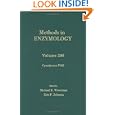 Cytochrome P450, Volume 206: Volume 206: Protein-Dna Interactions (Methods in Enzymology) by John N. Abelson, Melvin I. Simon, Michael R. Waterman, and Eric F. Johnson