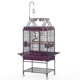 Avian Adventures Chiquita Playtop Ruby Bird Cage by Avian Adventures