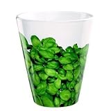 Produkt-Bild: ASA Selection - Basilikum Kr&auml;utertopf