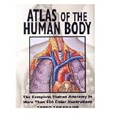 Atlas Of The Human Body
