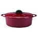 Daniel Boulud Kitchen Infiniti Cast Iron Cookware 5 quart Oval Roaster, Red
