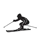 Ski Sports Car Truck Vehicle Bumper Helmet Decal Sticker Wall Art Laptop Design Skin Stickers