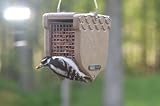 Recycled Peanut Feeder w/Hanging Cable