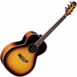 Childrens Toyshop  Musical Instruments : Takamine TF450SMSB Acoustic Electric Guitar (Gloss Sunburst)